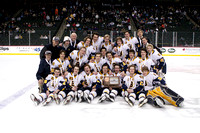 Boys Hockey State Tournament: Third Place Game