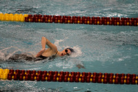 Girls Swim and Dive at State Meet