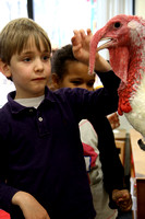Tom Turkey Visits Kindergarten