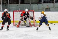 Girls Hockey Section Semifinal